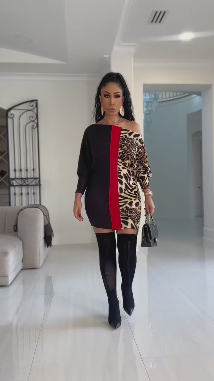 Sean (Leopard Multi Mini Dress)