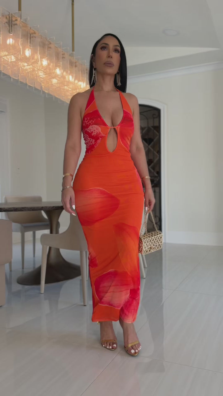 Shane (Orange Maxi Dress)