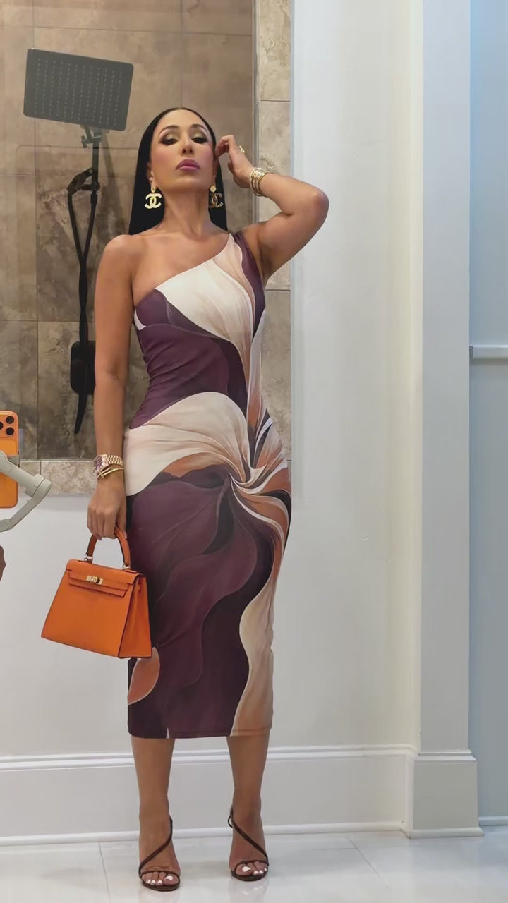 Mina (Plum/Cream Multicolor Dress)